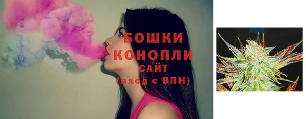прущая мука Нея