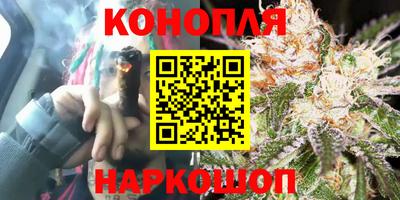 индика Донской